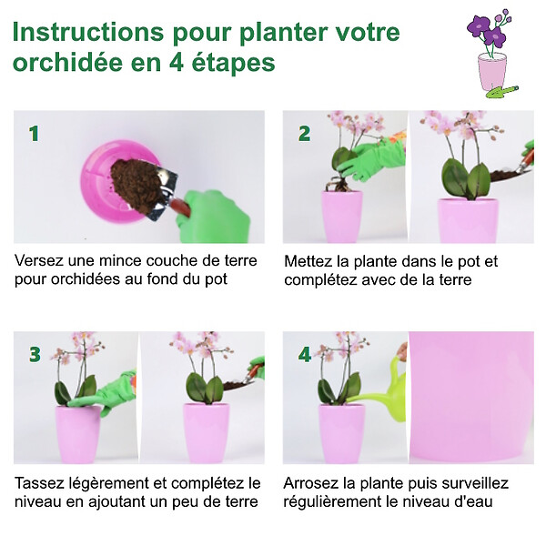 GT GARDEN - Lot de 3 pots pour orchidées avec réserve d'eau - Arte-dea vert clair transparent 2 litres - large