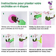 GT GARDEN - Lot de 3 pots pour orchidées avec réserve d'eau - Arte-dea vert clair transparent 2 litres - vignette