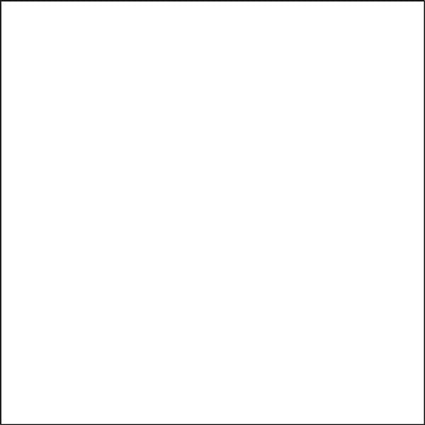 CERAM INDUSTRIE - Carreau de faïence blanc mat 25x50 - 1 m²/boîte - large