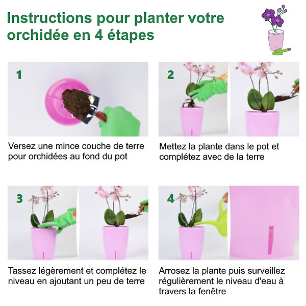GT GARDEN - Lot de 3 pots pour orchidées avec réserve d'eau - Dali-dea ivoire 2 litres - large