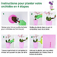 GT GARDEN - Lot de 3 pots pour orchidées avec réserve d'eau - Dali-dea ivoire 2 litres - vignette