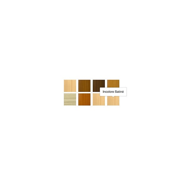 BLANCHON - Vernis Blanchon EXP 2,5L incolore satiné - large
