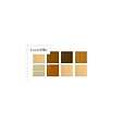 BLANCHON - Vernis Blanchon EXP 5L incolore mat - vignette