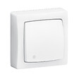 LEGRAND - Va-et-vient lumineux LED 250V 10A - Blanc - Saillie - vignette