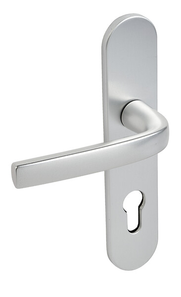 VACHETTE - Ensemble sur plaques Logio entraxe 195mm type CLE I finition argent - VACHETTE - 200666 - large