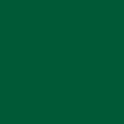 NUANCE - Peinture aerosol - Vert pin  - Satin -  400ml - vignette