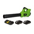 VITO - Souffleur de jardin 40V + 2 Batteries lithium 2AH + Chargeur DOUBLE VITO - vignette