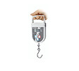 KERN SOHN - Kern - Dynamomètre 20g à 15Kg - CH15K20 Kern sohn - vignette