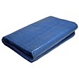 TECPLAST - Bâche de jardin 2 x 3 m Bleue et verte Etanche Polyéthylène 80g/m² - vignette