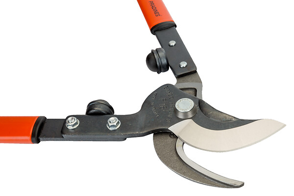 BAHCO - ébrancheur pro 40 cm avec contre-lame forgée P16-40 Bahco - large