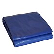 TECPLAST - Bâche piscine rectangulaire 6 x 10m Bleue marine avec filet d'écoulement résistance 140g/m2 - vignette