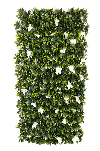 IDEAL GARD - Treillis feuille jasmin osier - Vert - H.1xL.2m - large