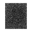 CIARRA - Filtre au charbon CBCF009 1 pièce pour Hotte Casquette CD6903DB / CD6903DS - vignette