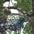 MAKITA - Tronçonneuse à batterie à poignée supérieure 18 V MAKITA DUC122Z (Produit seul) - vignette