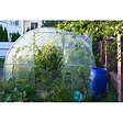 MCCOVER - Plaque polycarbonate alvéolaire 4mm Translucide, l.105 cm, L.50 cm - vignette