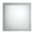 GLASSBLOCKS - Luxfera brique de verre 19x19x8 cm, translucide mat (CL1908CM) - vignette