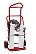 FIMM - Diable porte 2 bouteilles élingable 100 kg - FIMM - 810008371 - vignette