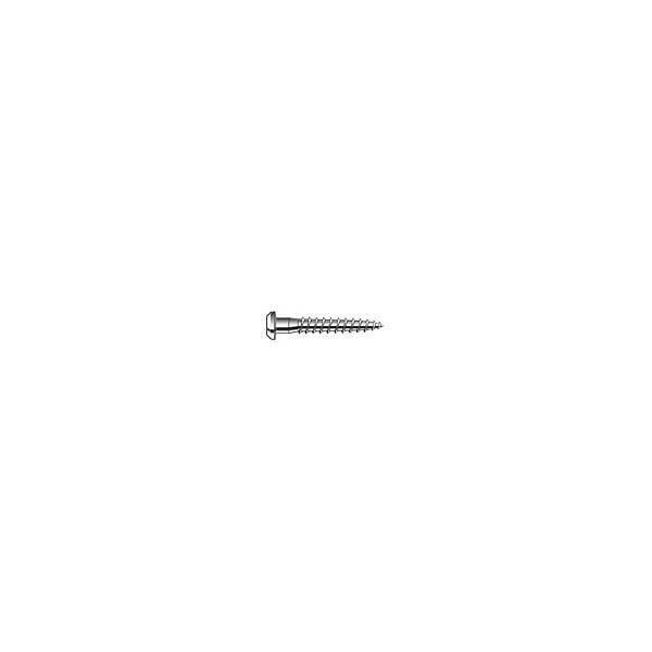 SIMPSON STRONGT-TIE - Vis conn. csa5.0x35 /250 - large