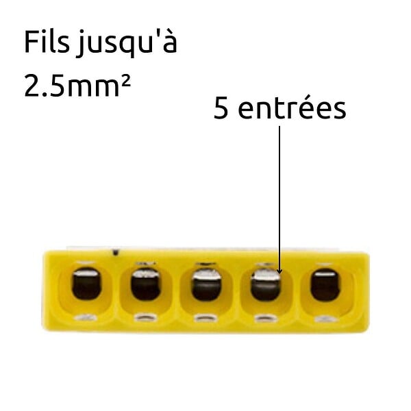 WAGO - Mini borne S2273 avec 5 entrées et conducteurs 2,5mm² - Wago - large