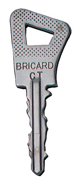 BRICARD - Cylindre monobloc ovoïde BLOCTOUT 33x33mm inox - BRICARD - 4260028 - large