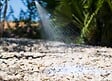JARDINAT - Fixateur de gravier Mineralspray 650ml - Transparent - vignette