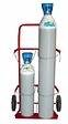 FIMM - Diable à 1 ou 2 bouteilles 200 kg - FIM - 810000151 - vignette