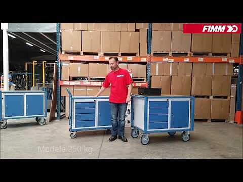 FIMM - Servante d'atelier équipée 1 bloc porte et 1 bloc tiroirs 500 kg - FIMM - 880002991 - large