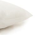 GO/ON - COUS REMBOURRAGE PP ENZO 30x50 - vignette