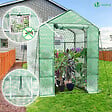 VOUNOT - Serre de jardin avec etageres et bache PE renforcee 135g/m2 143x143x195cm Vert - vignette