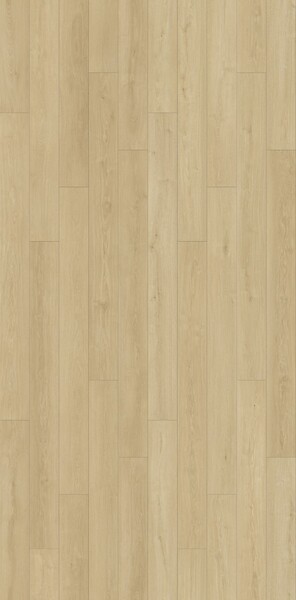 HOMELIKE - Stratifie 8mm + 2mm sous couche integree trocadero - large