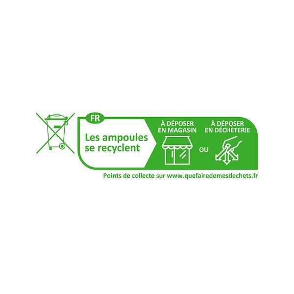 VISION EL - Ampoule LED E27 Bulb - 7W - 4000K Blanc Naturel - 806lm - Angle 180° - Ø60mm - large