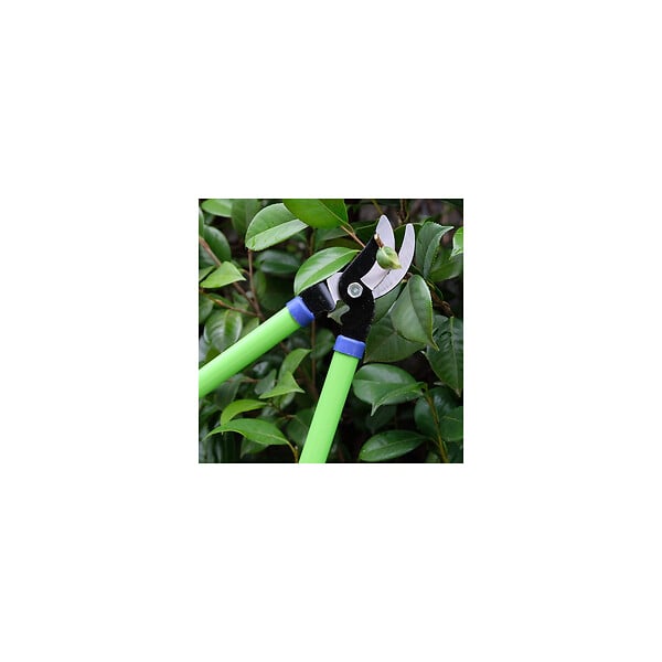 SUAN - Coupe branche lame franche - En acier carbone - Dimensions : 62 x 21,5 cm - large