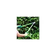 SUAN - Coupe branche lame franche - En acier carbone - Dimensions : 62 x 21,5 cm - vignette