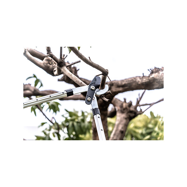 SUAN - Coupe branche lame franche - Manche télescopique - Dimensions : 88,5 x 29,5 x 3 cm - large