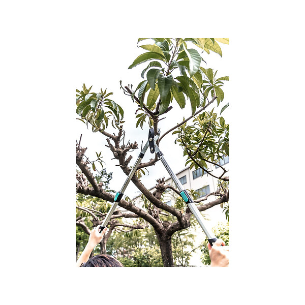 SUAN - Coupe branche lame franche - Manche télescopique - Dimensions : 88,5 x 29,5 x 3 cm - large