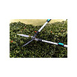 SUAN - Cisaille à haie lame ondulée - Manche télescopique - Dimensions : 62-80 x 19-25 x 3 cm - vignette