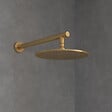 VILLEROY ET BOCH - Douche de tête  Universal ronde Or brossé - vignette