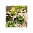 KZ GARDEN - Toile de paillage Papier Kraft 0.9 x 20m Autodégradable Paillage pour Jardin Anti mauvaises herbes 100% Cellulose - vignette