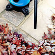VACMASTER - Aspirateur eau et poussières 1250W - 20L plastique ? 18 Kpa avec soufflerie - Vacmaster - vignette