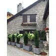 ARTPLAST - Jardinière Extérieure Grise Anthracite 100L 80x40cm - Pot de Fleurs Rectangulaire en Plastique Recyclé - Design Italien ARTPLAST - vignette
