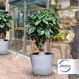 ARTPLAST - Pot de Fleur Gris 70L Ø50cm H47cm - Jardinière Extérieure Balcon Terrasse Jardin ARTPLAST - vignette