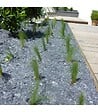 RACINE - Paillage minéral ardoise grise calibre 40/70mm, Big bag 500 l - PRO435 - vignette