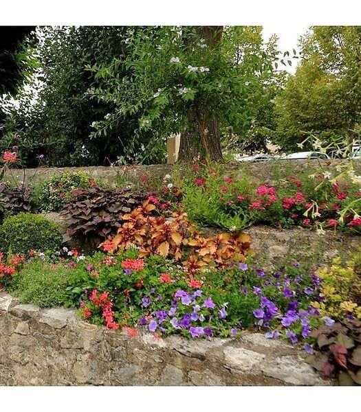 RACINE - Terreau fleurissement prêt à l'emploi 10 sacs 50 l bacs de plantes - large