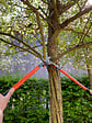 BAHCO - Ébrancheur 16-50cm BAHCO - P16-50-F - vignette
