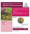 RACINE - Terreau plantes vertes, sac de 50 litres - PRO12 - vignette