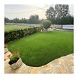 ART GARDEN - Gazon synthétique Cambridge – Green Avenue - 2x12,5m - vignette