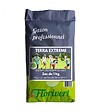 FLORIVERT - Semences gazon Terra Extrême 1 kg, faible besoin en eau et bel aspect - Florivert 1206451 - vignette