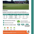 FLORIVERT - Gazon sport jeux Terra Sport 1 kg résistant au piétinement, homogénéité rapide - Florivert 1206453 - vignette
