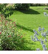 FLORIVERT - Engrais Flori Or KZ 20 kg améliore l'absorption des nutriments, pour sol scarifié - Florivert NEG01887 - vignette