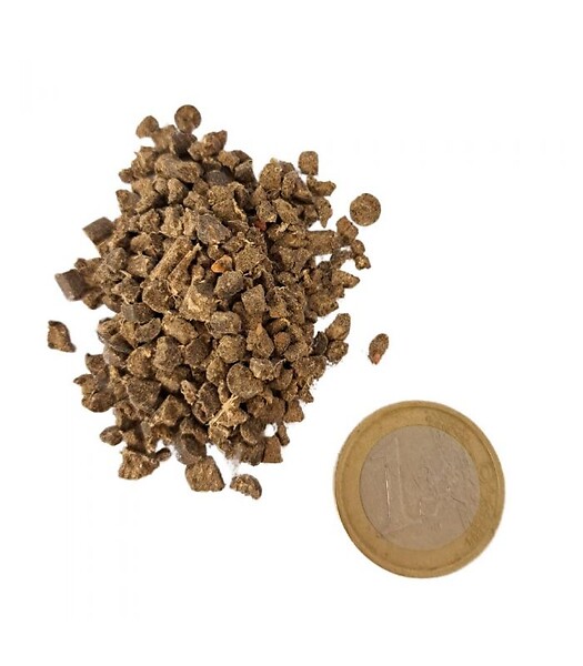 FLORIVERT - Engrais Flori Or KZ 20 kg améliore l'absorption des nutriments, pour sol scarifié - Florivert NEG01887 - large